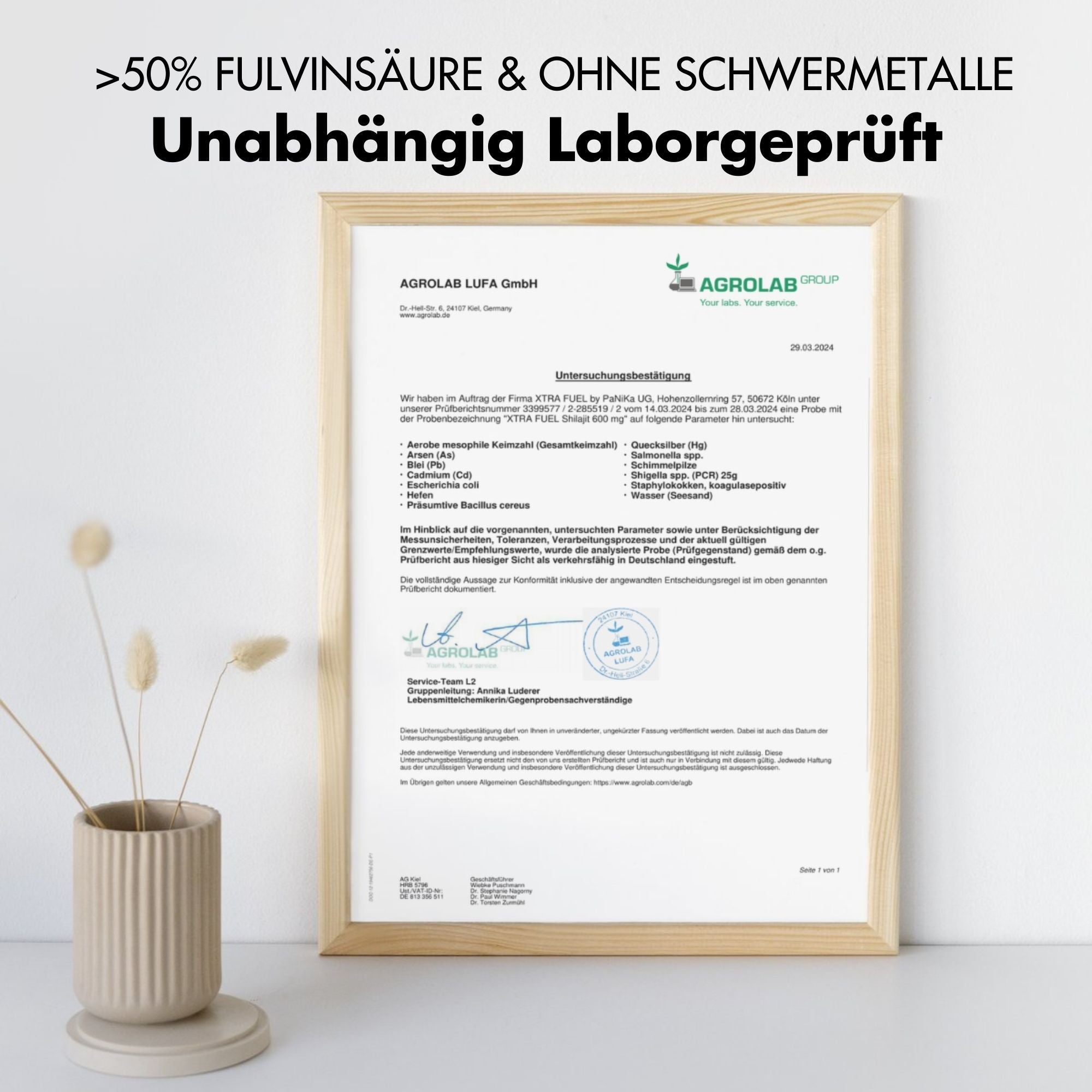 Shilajit Harz - Original Himalaya Mumijo - Laborgeprüft & 100% ohne Schwermetalle