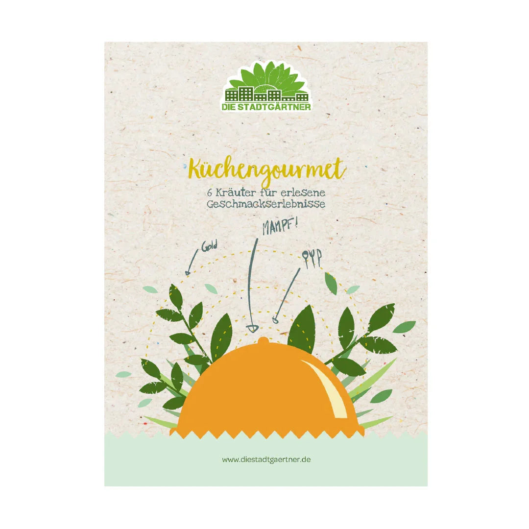 Kräuterkiste "Küchengourmet"