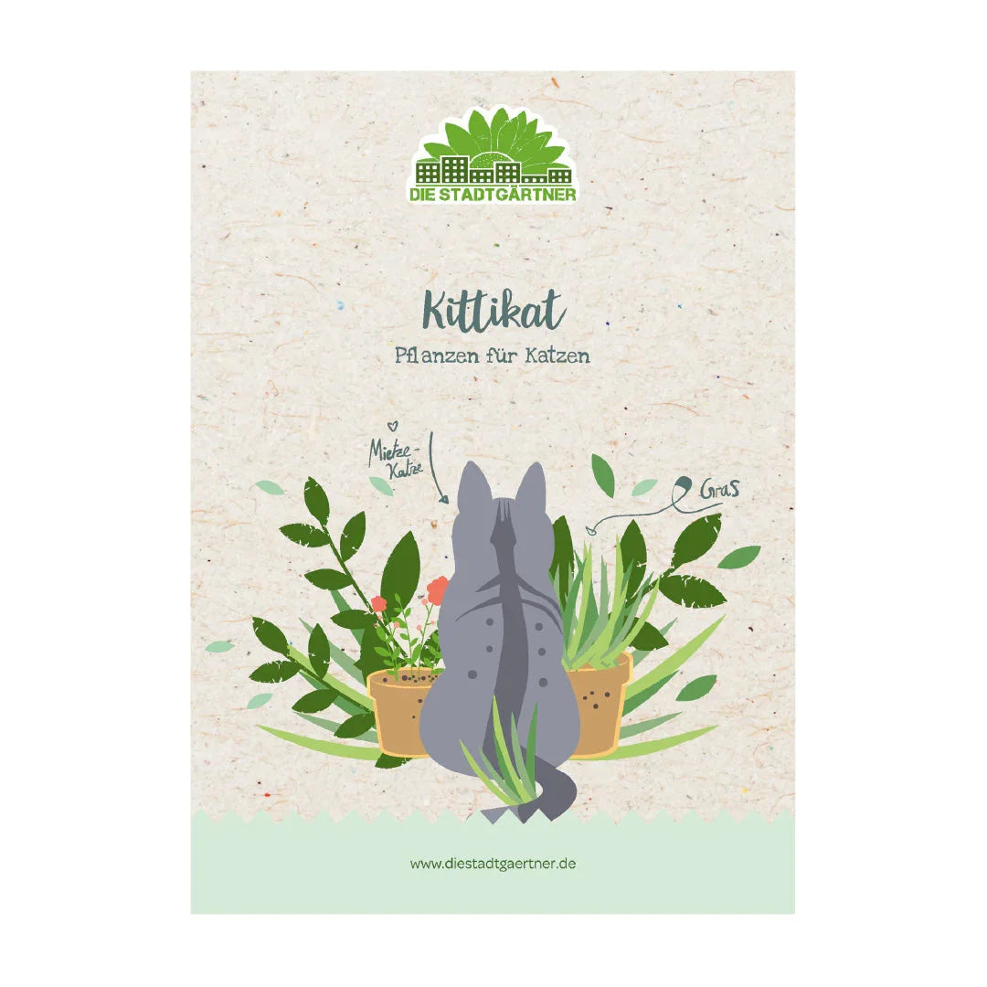 Kräuterkiste "Kittikat"