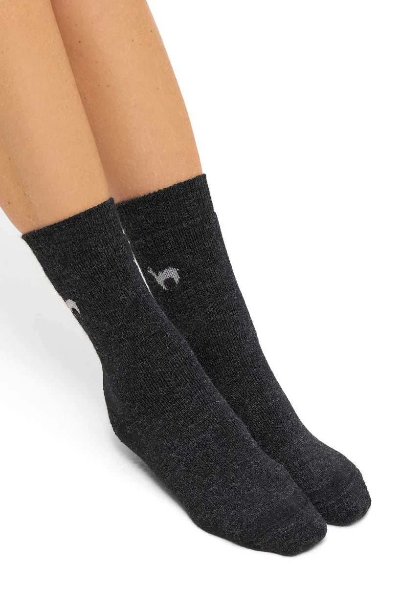 Apu Kuntur - Alpaka Trekking-Socken – Alpaka-Wolle-Mix
