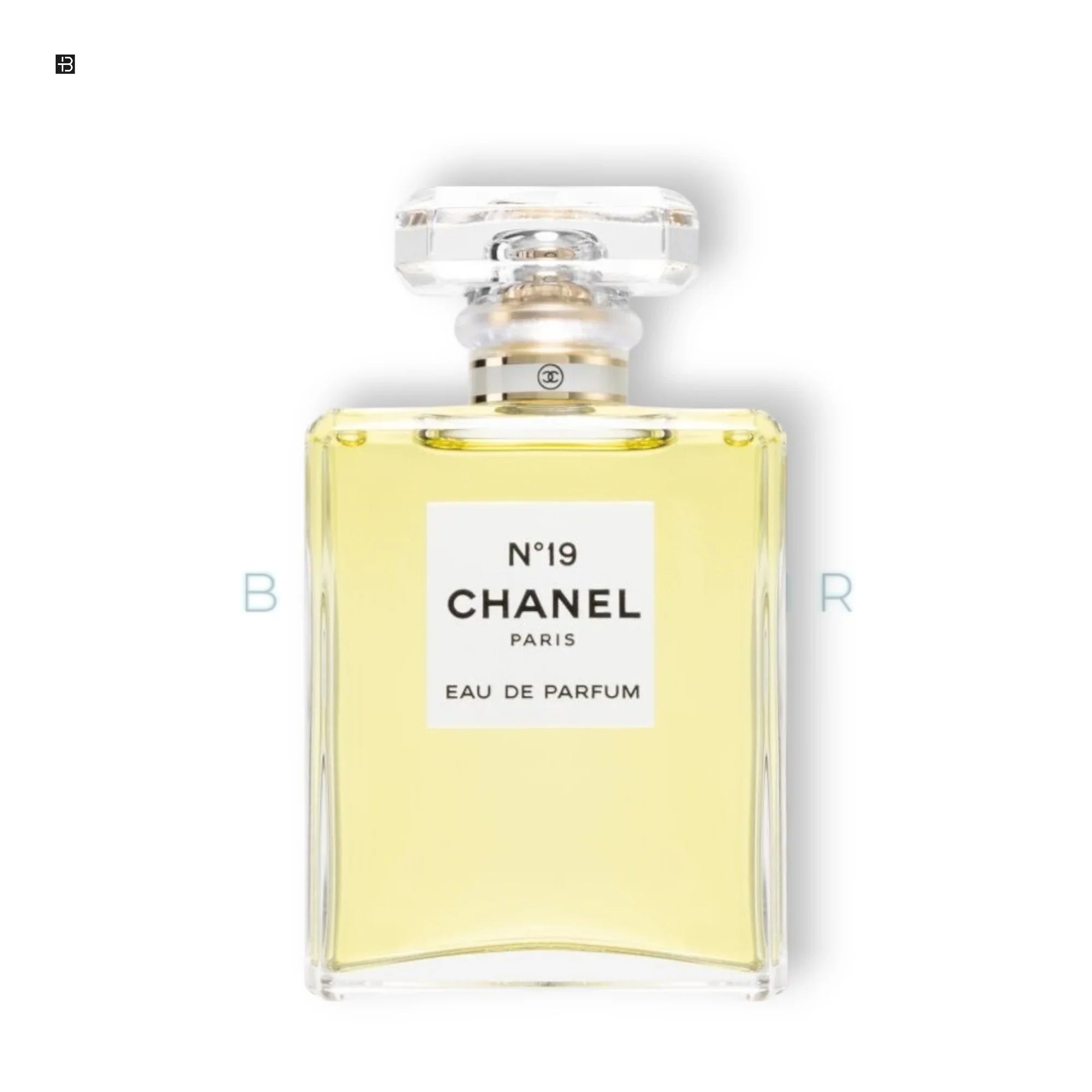 Chanel N°19 Eau de Parfum - BLACK ELIXIR - Maison de Parfum