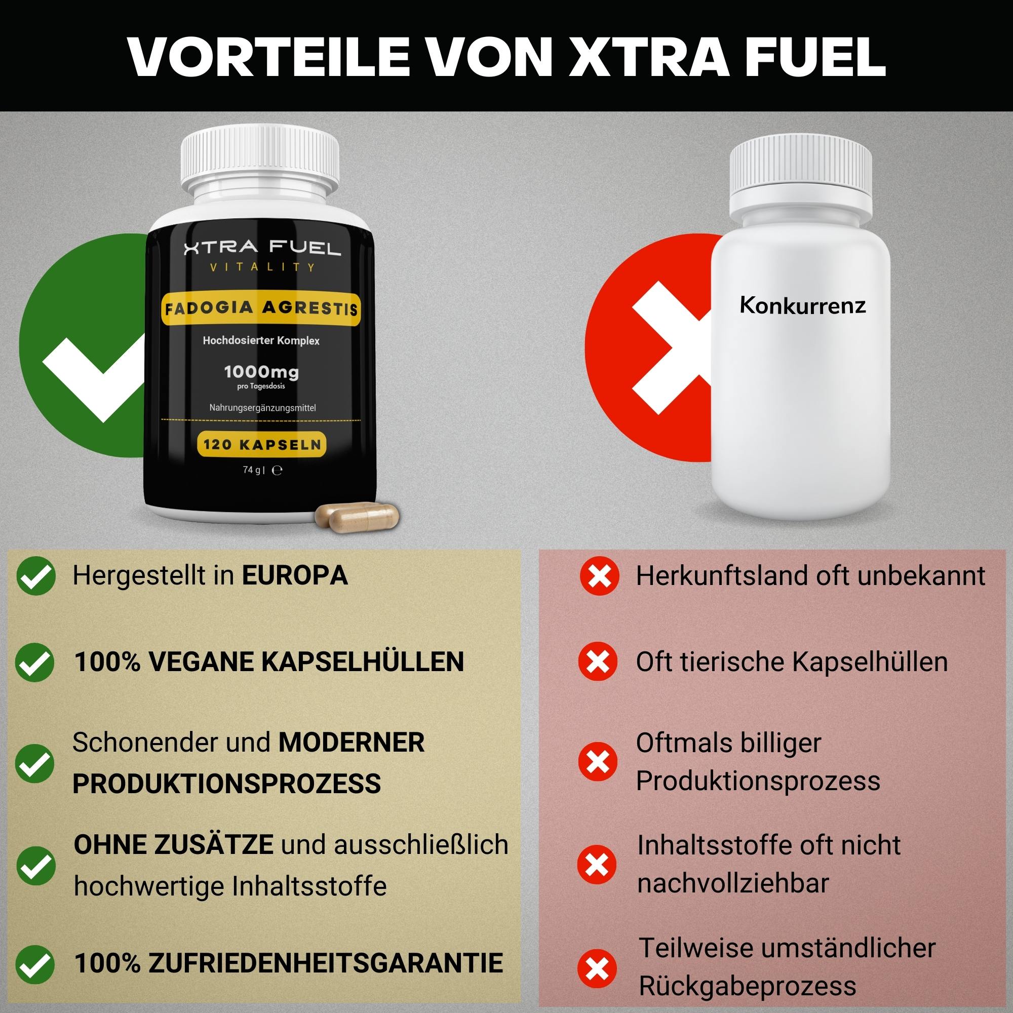 Fadogia Agrestis Kapseln - 1000mg Fadogia Extrakt - 100% natürlich & zertifiziert