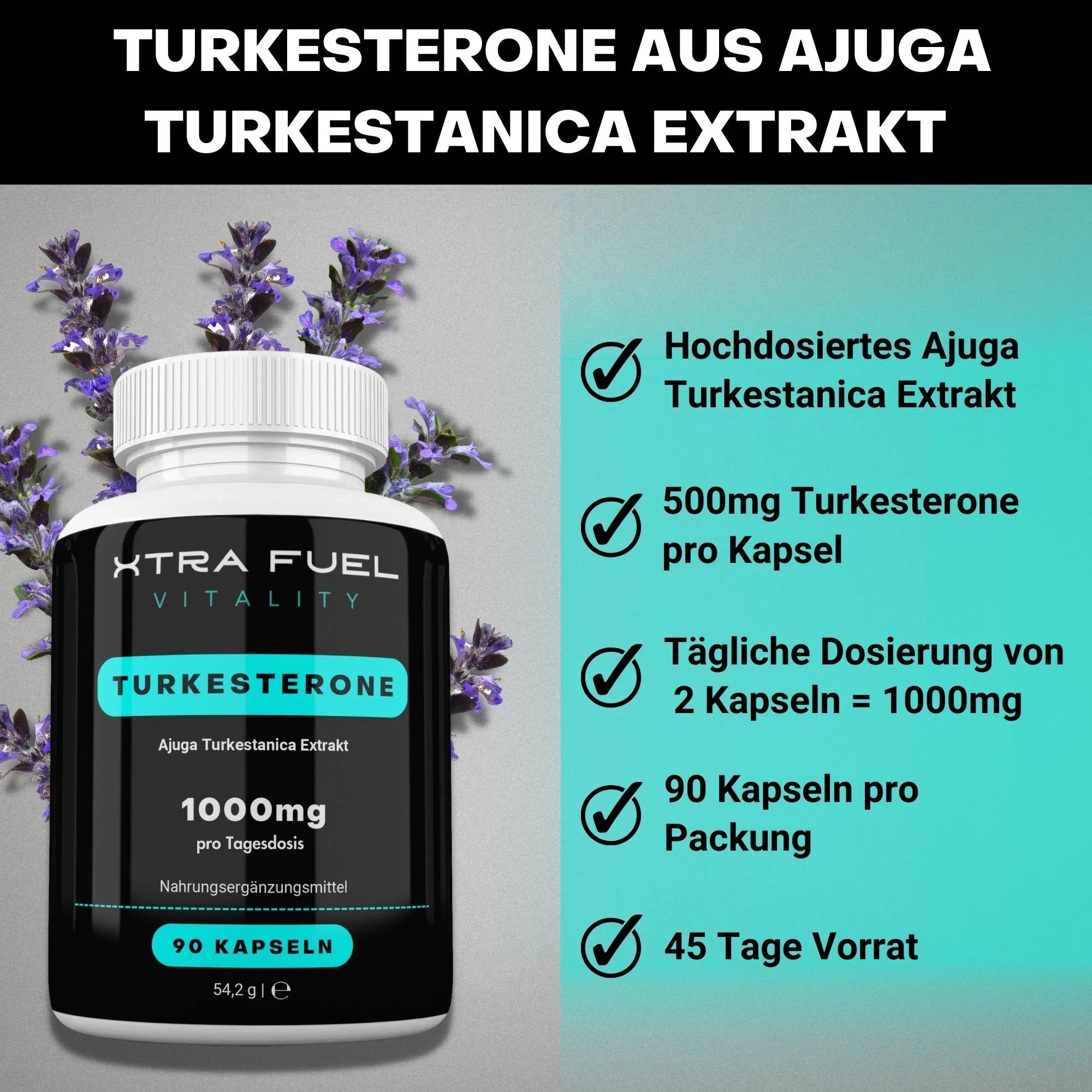 Turkesterone Kapseln - 1000mg Ajuga Turkestanica - Beliebt im Bodybuilding - BLACK ELIXIR - Maison de Parfum