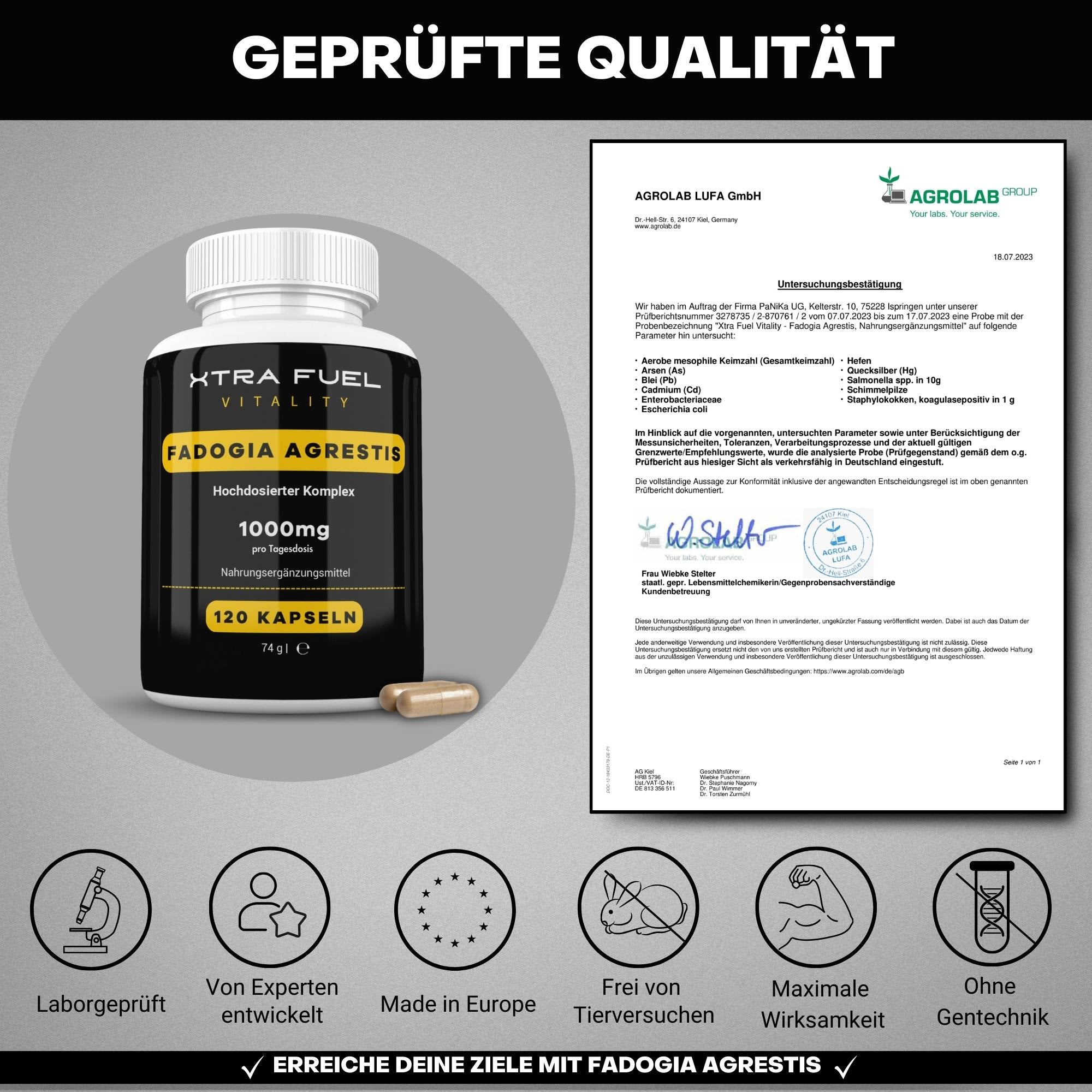 Fadogia Agrestis Kapseln - 1000mg Fadogia Extrakt - 100% natürlich & zertifiziert
