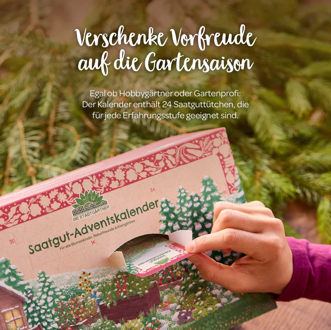 Saatgut-Adventskalender mit Türchen