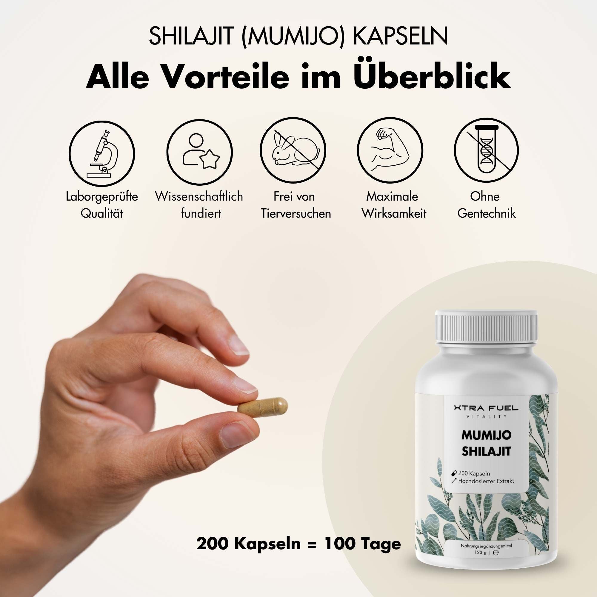 Shilajit Kapseln - 200x Mumijo Kapseln - Mit >80% Fulvinsäure