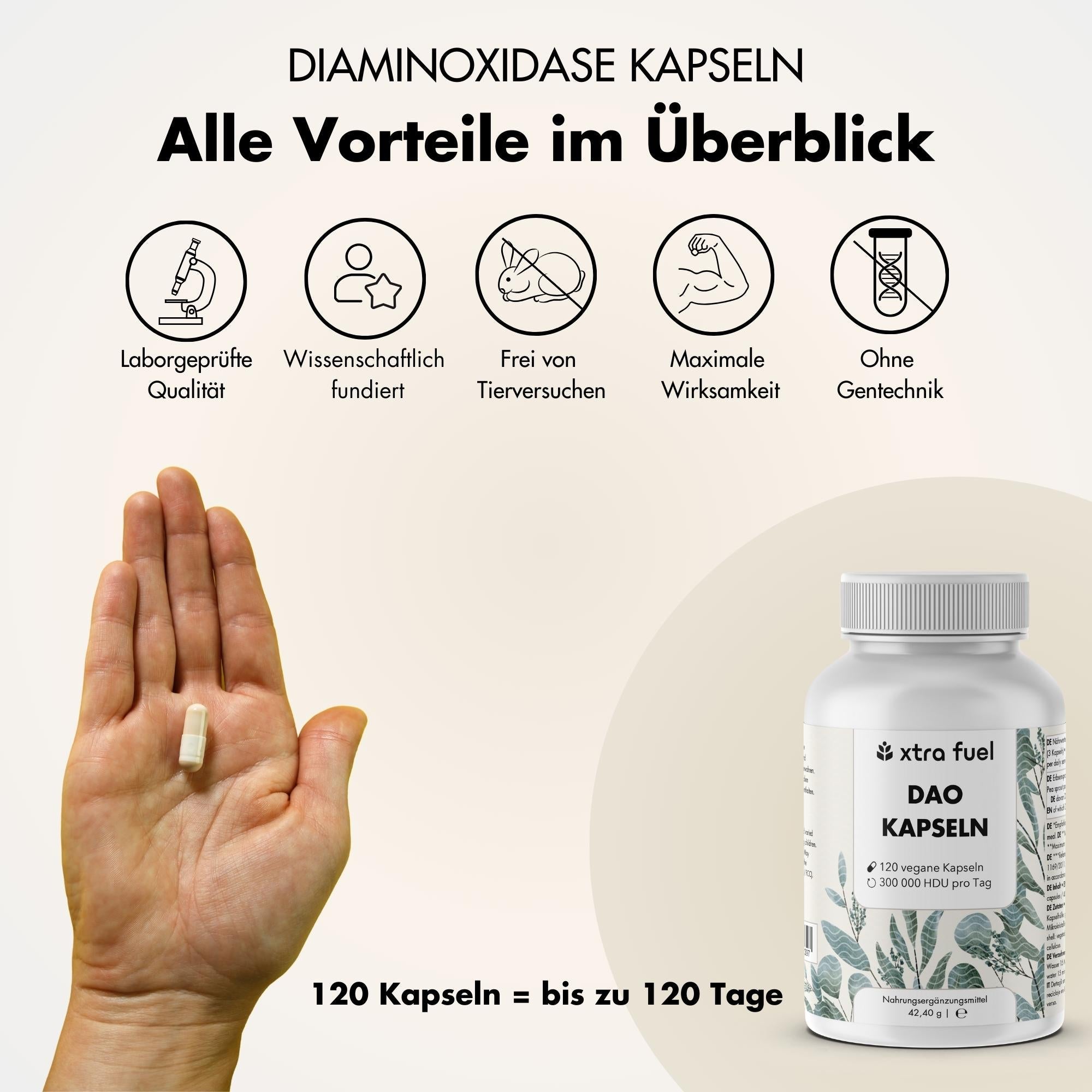 DAO Enzym Kapseln - Vegane Diaminoxidase aus Erbsensprossen - 300.000 HDU
