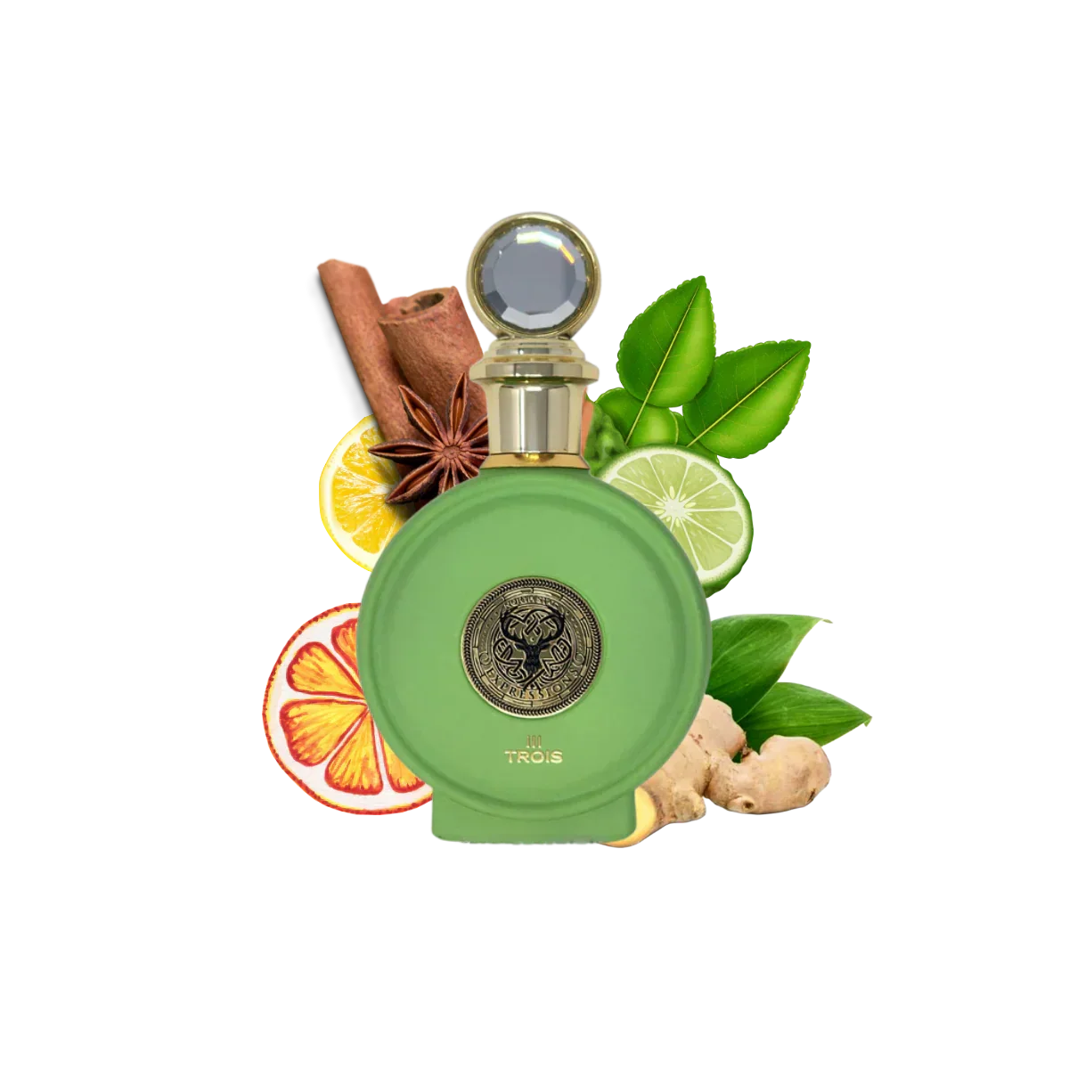 Paris Corner North Stag Trois III Expressions Eau de Parfum 100ml