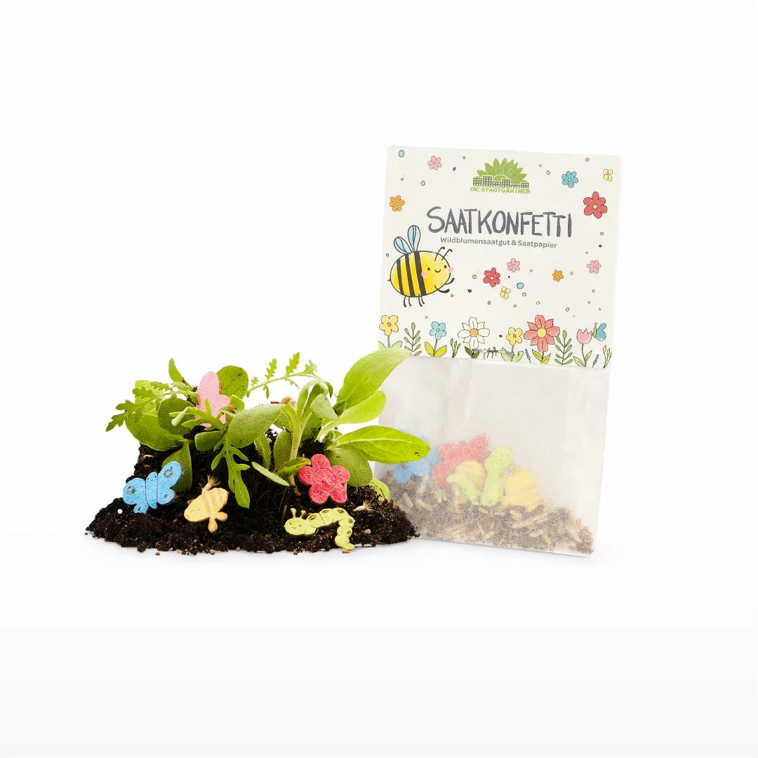 10 x buntes Saatkonfetti im TĂŒtchen