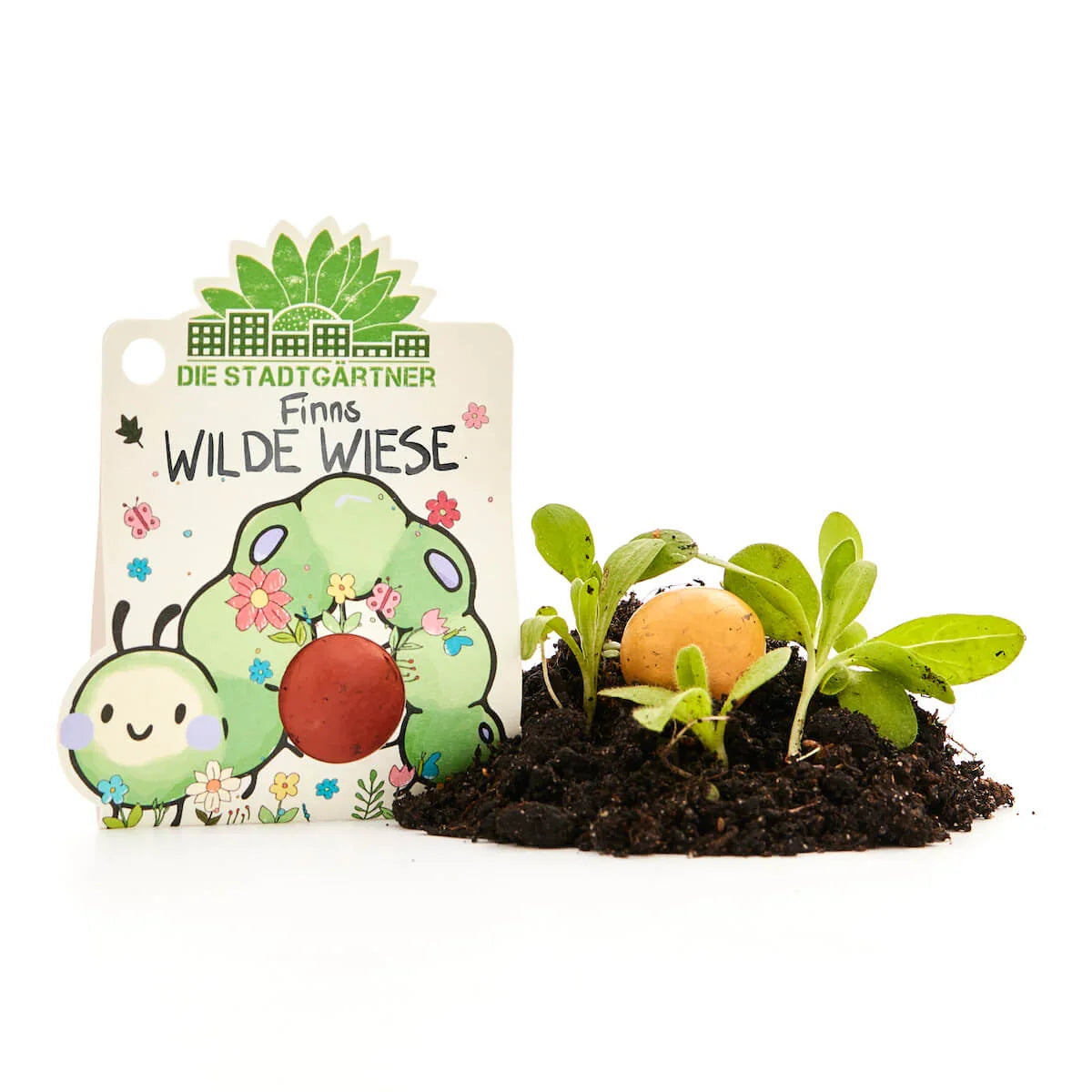 1 Blumenmurmel "Finns Wilde Wiese"