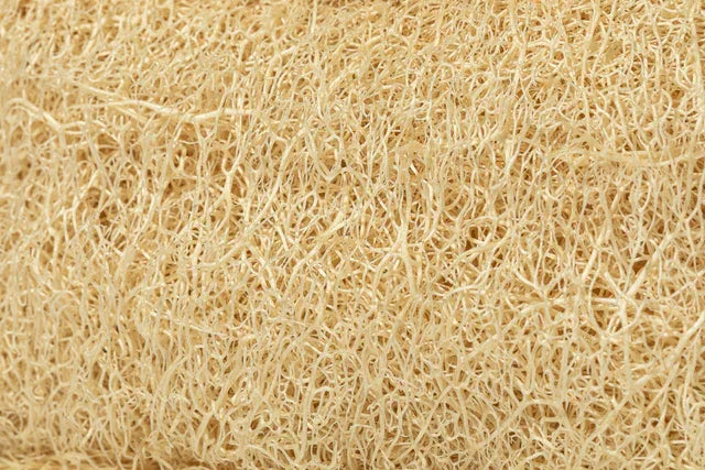 Hopery - Luffa Spülschwamm