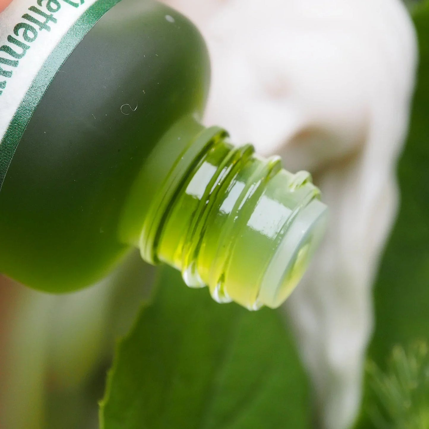 Klettenwurzelhaaröl