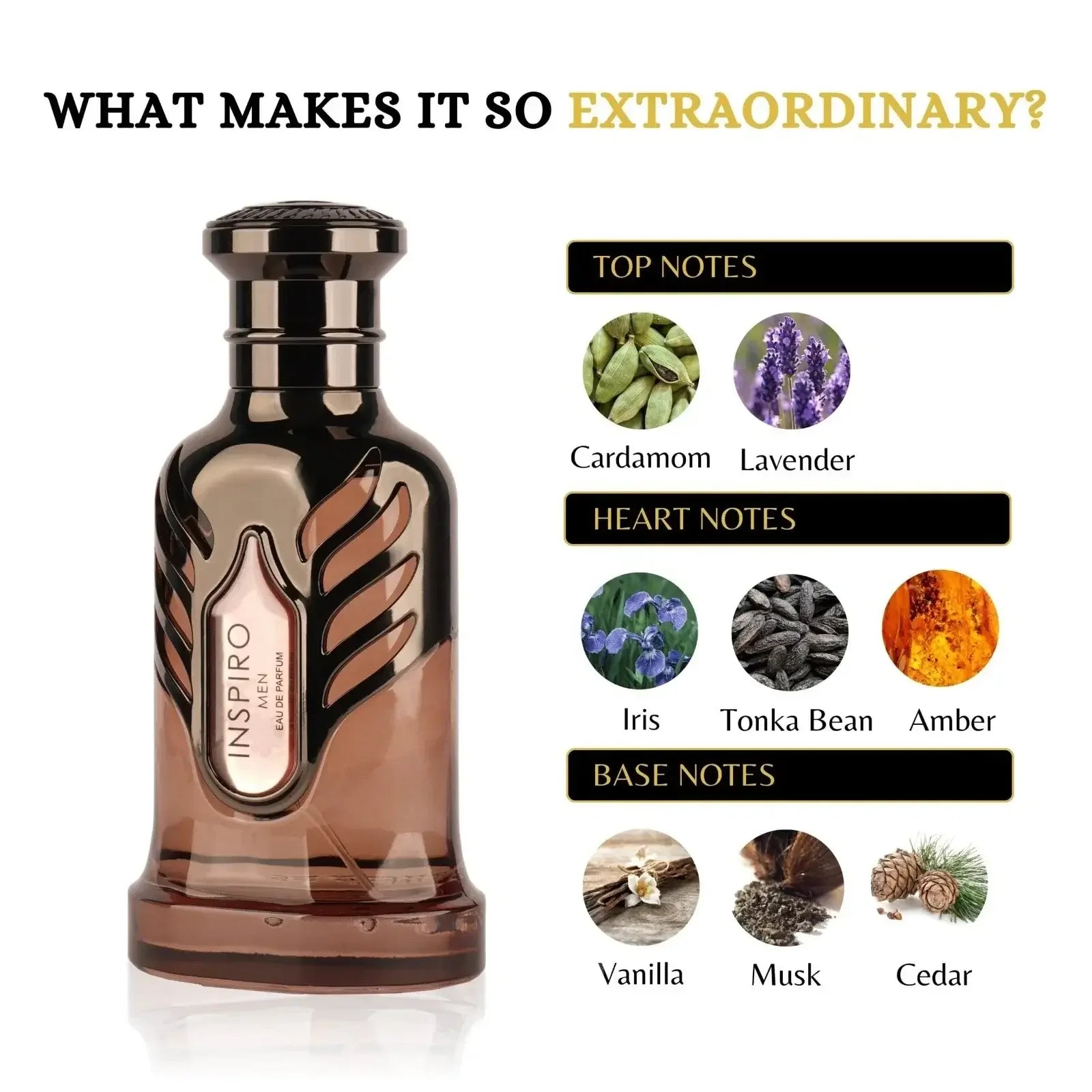 Riiffs Inspiro Men Eau De Parfum 100 ml