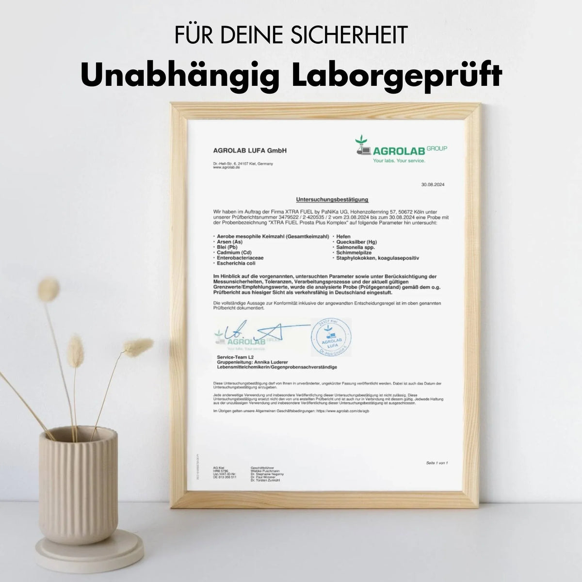 Prostata Kapseln - Prosta Plus Komplex - Effektive Formel mit Kürbiskern & Sägepalme - BLACK ELIXIR - Maison de Parfum