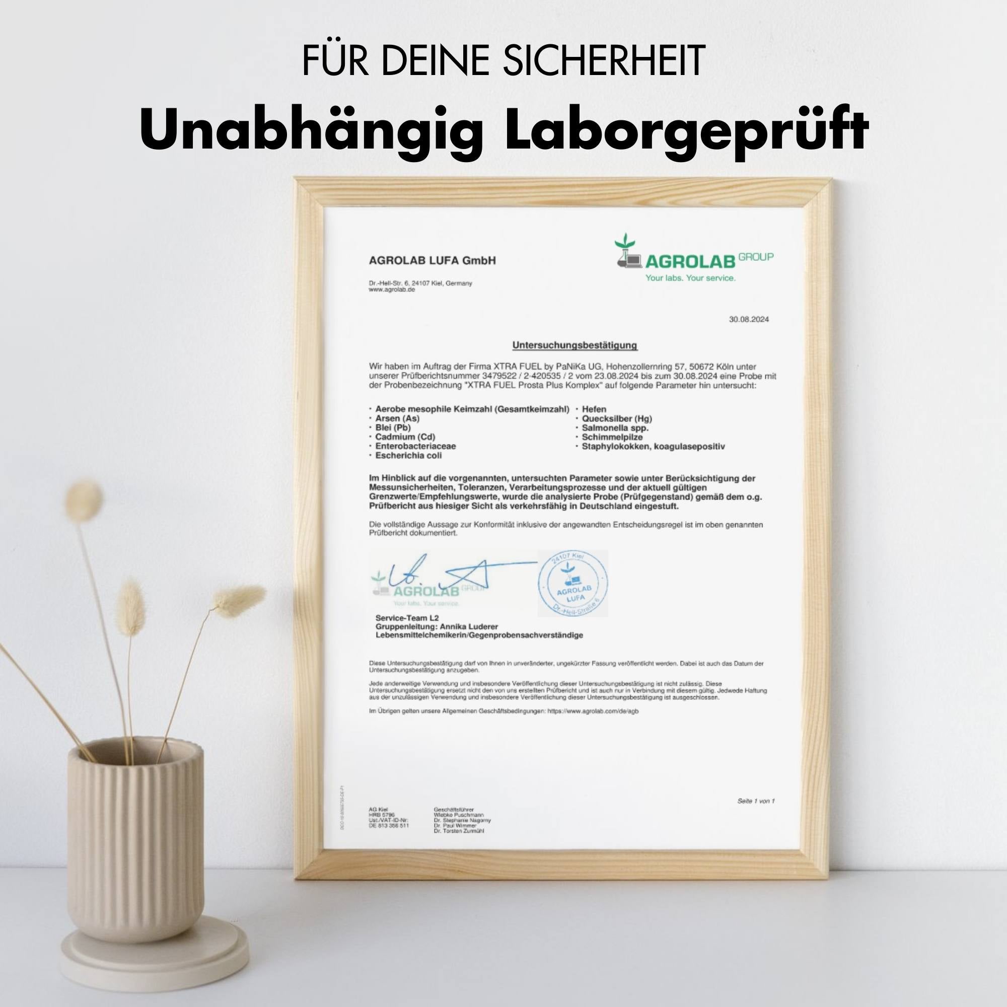 Prostata Kapseln - Prosta Plus Komplex - Effektive Formel mit Kürbiskern & Sägepalme