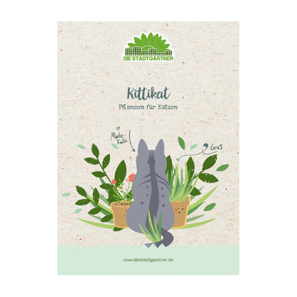 Kräuterkiste "Kittikat"