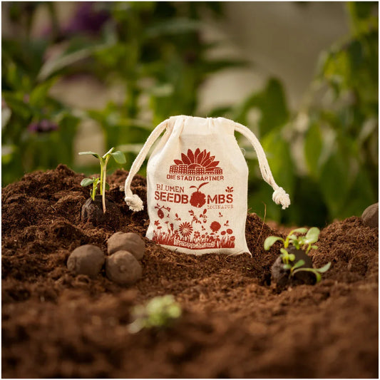 Bienenschmaus-Samenbomben