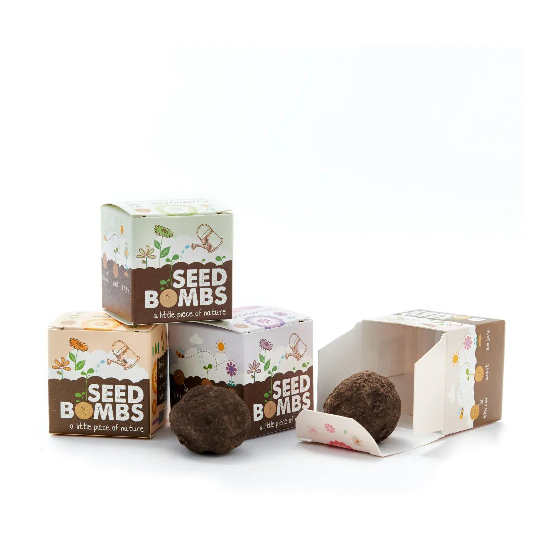 Wildblumen im Würfel – Saatkugel