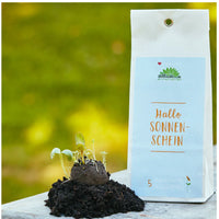 5 Samenbomben "Sonnenschein"