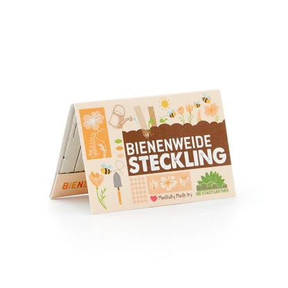 Saatgut-Steckling "Bienenweide"
