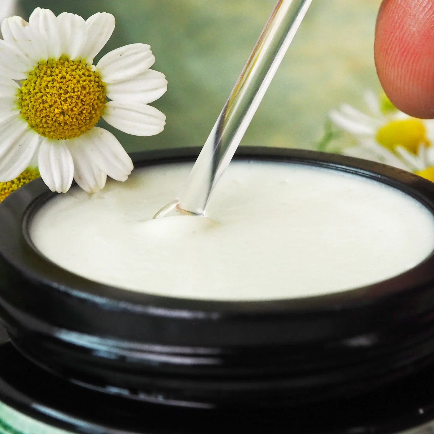 Kamillen-Hamamelis Creme