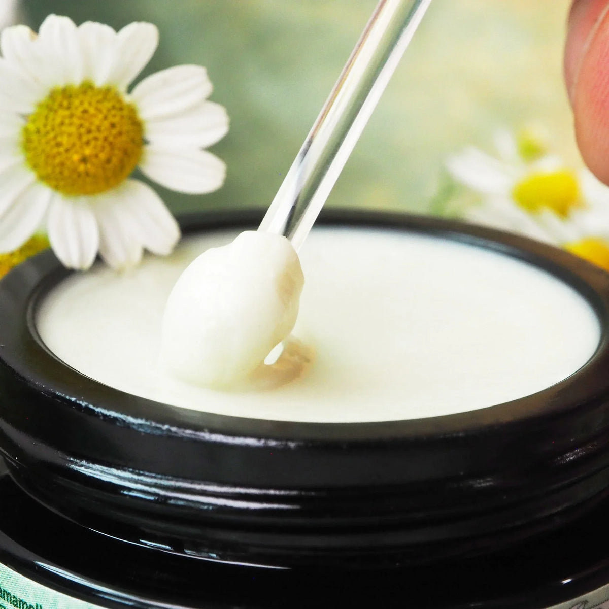 Kamillen-Hamamelis Creme