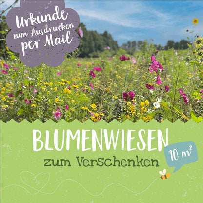Patenschaft für 10 m² Blumenwiese zum Ausdrucken