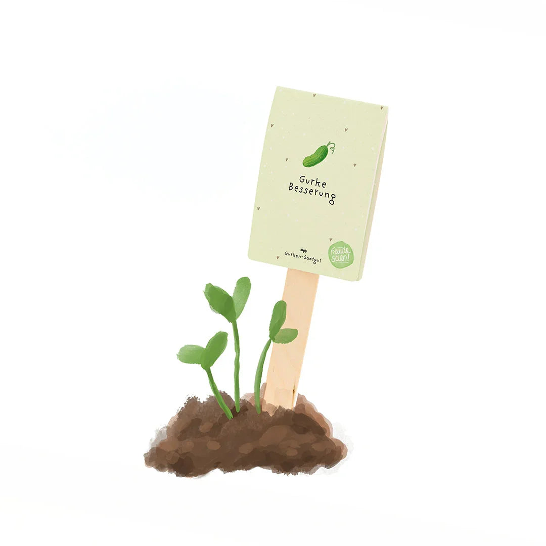 Gurke Besserung - Saatgruß (BIO)