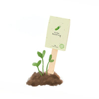 Gurke Besserung - Saatgruß (BIO)