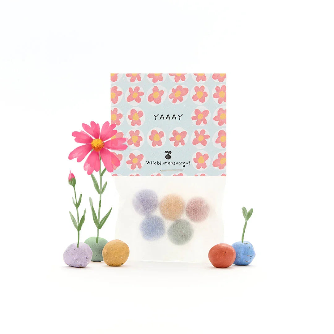 5 Blumenmurmeln im Tütchen "Yay"