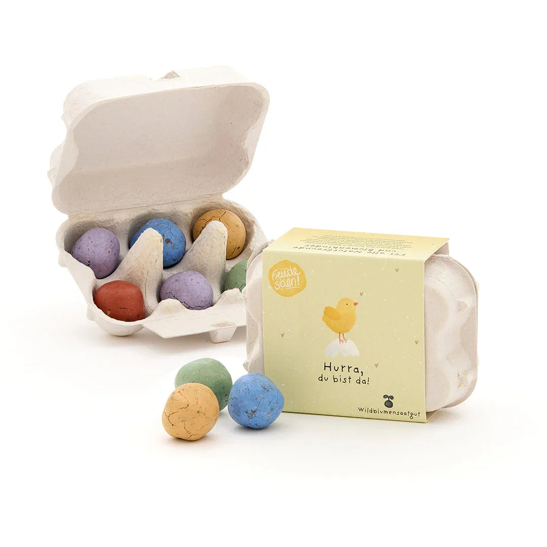 6 bunte Blumenmurmeln im Eierkarton "Hurra, du bist da"