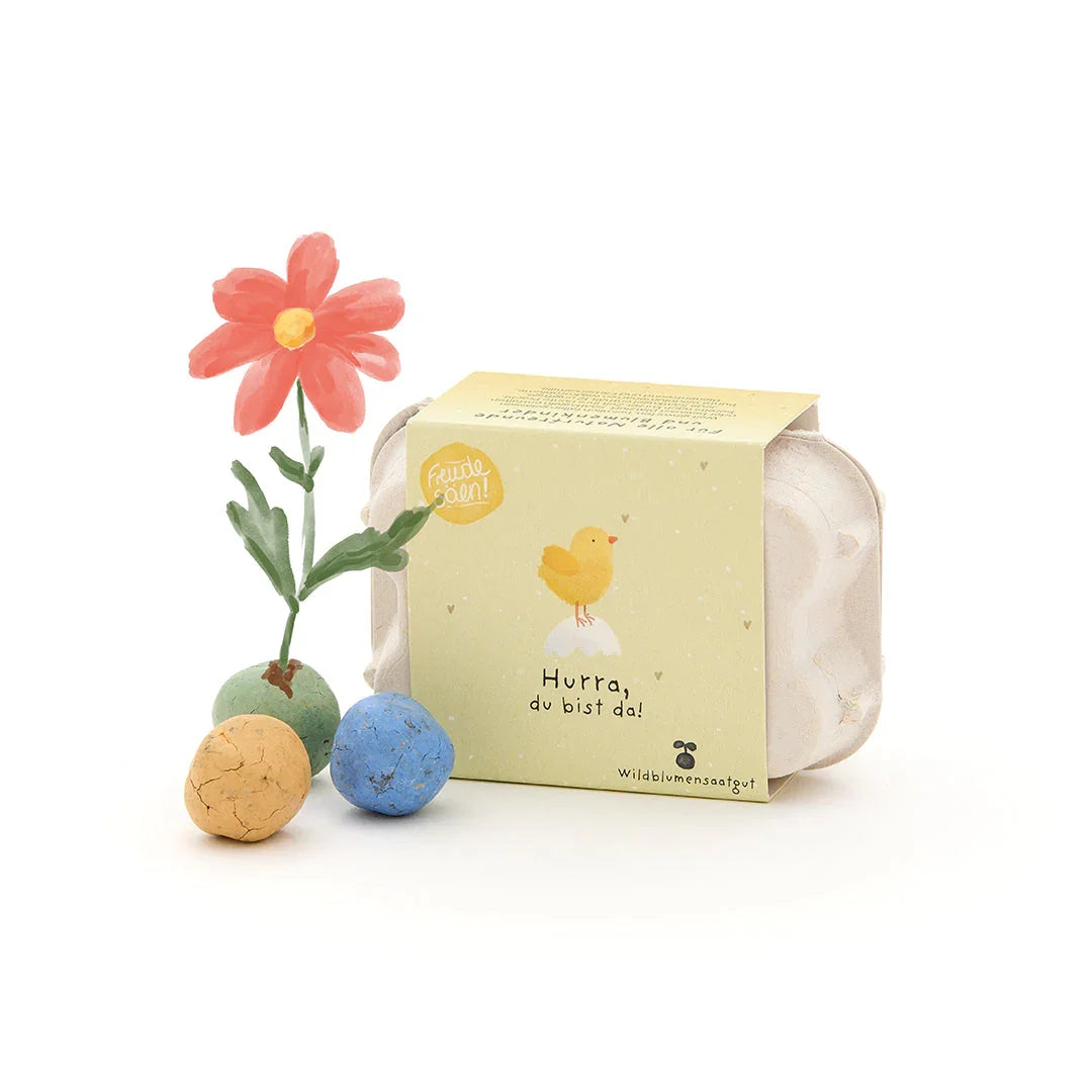 6 bunte Blumenmurmeln im Eierkarton 