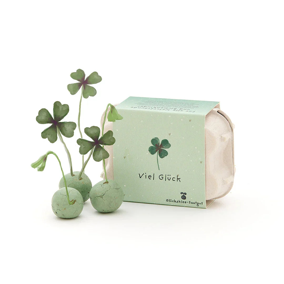 6 bunte Blumenmurmeln im Eierkarton 