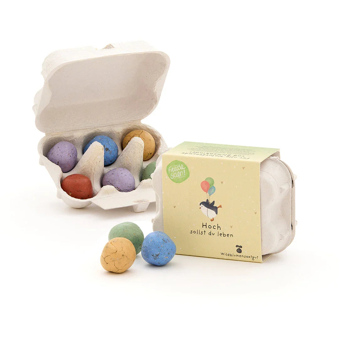 6 bunte Blumenmurmeln im Eierkarton 