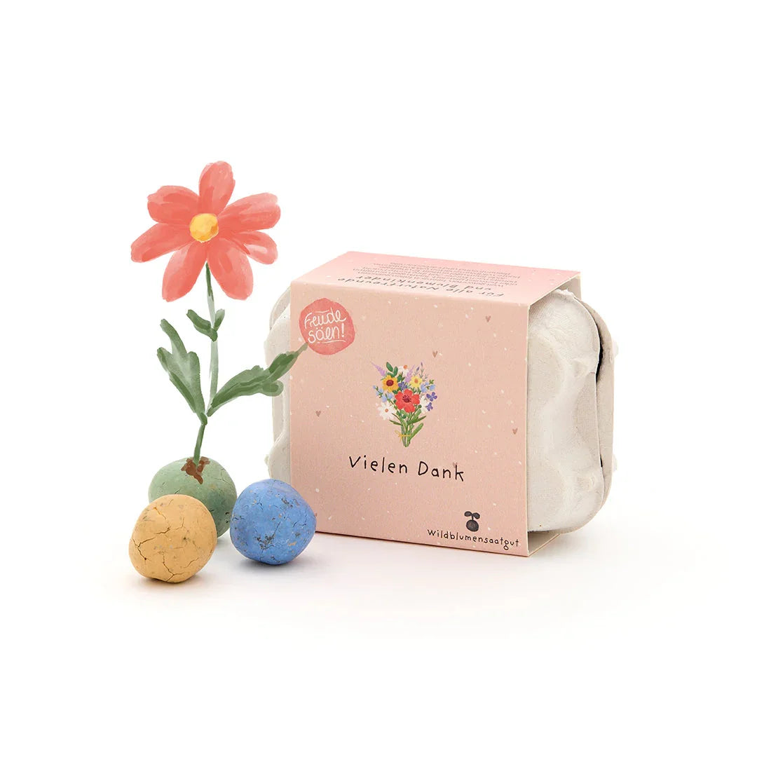 6 bunte Blumenmurmeln im Eierkarton 