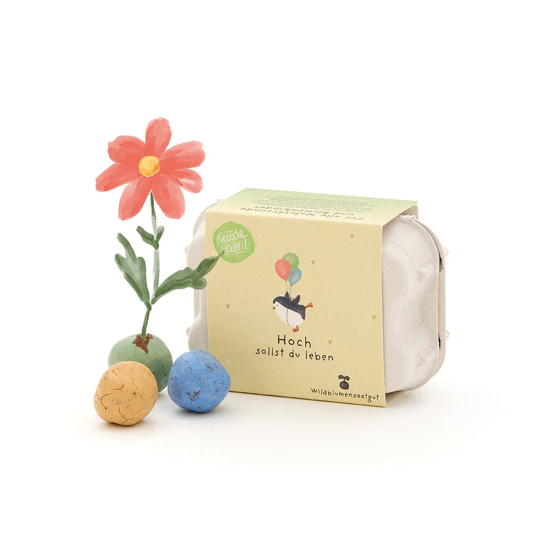 6 bunte Blumenmurmeln im Eierkarton 