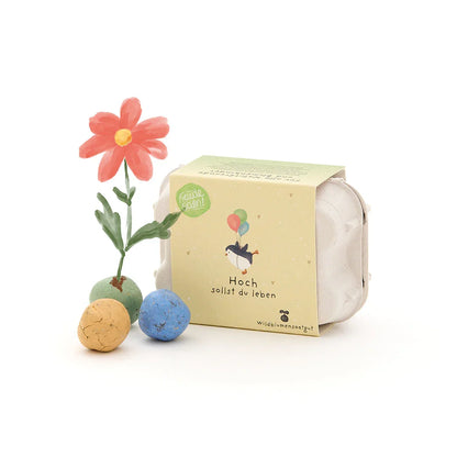 6 bunte Blumenmurmeln im Eierkarton "Hoch sollst du leben"