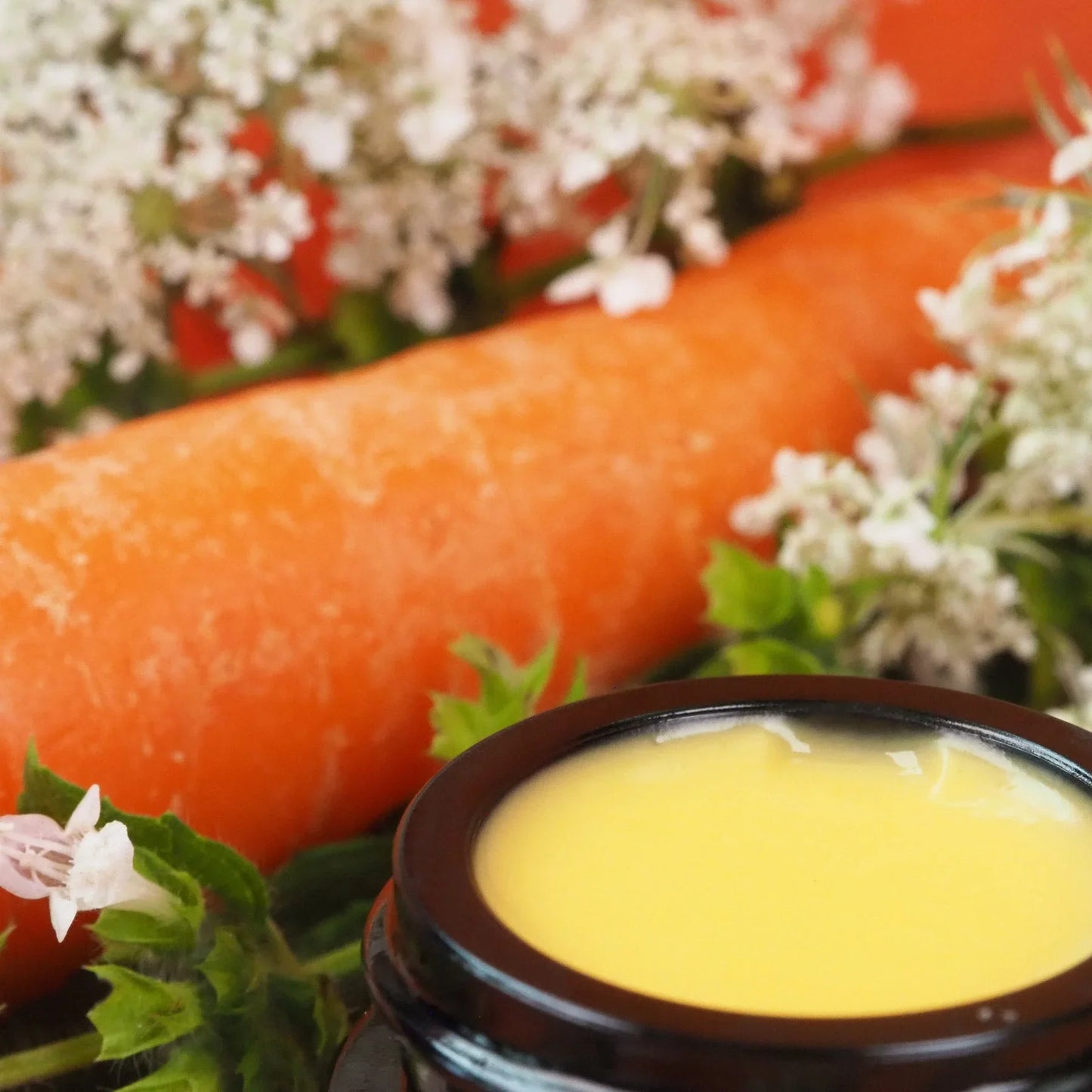 Melissen-Karotten Creme