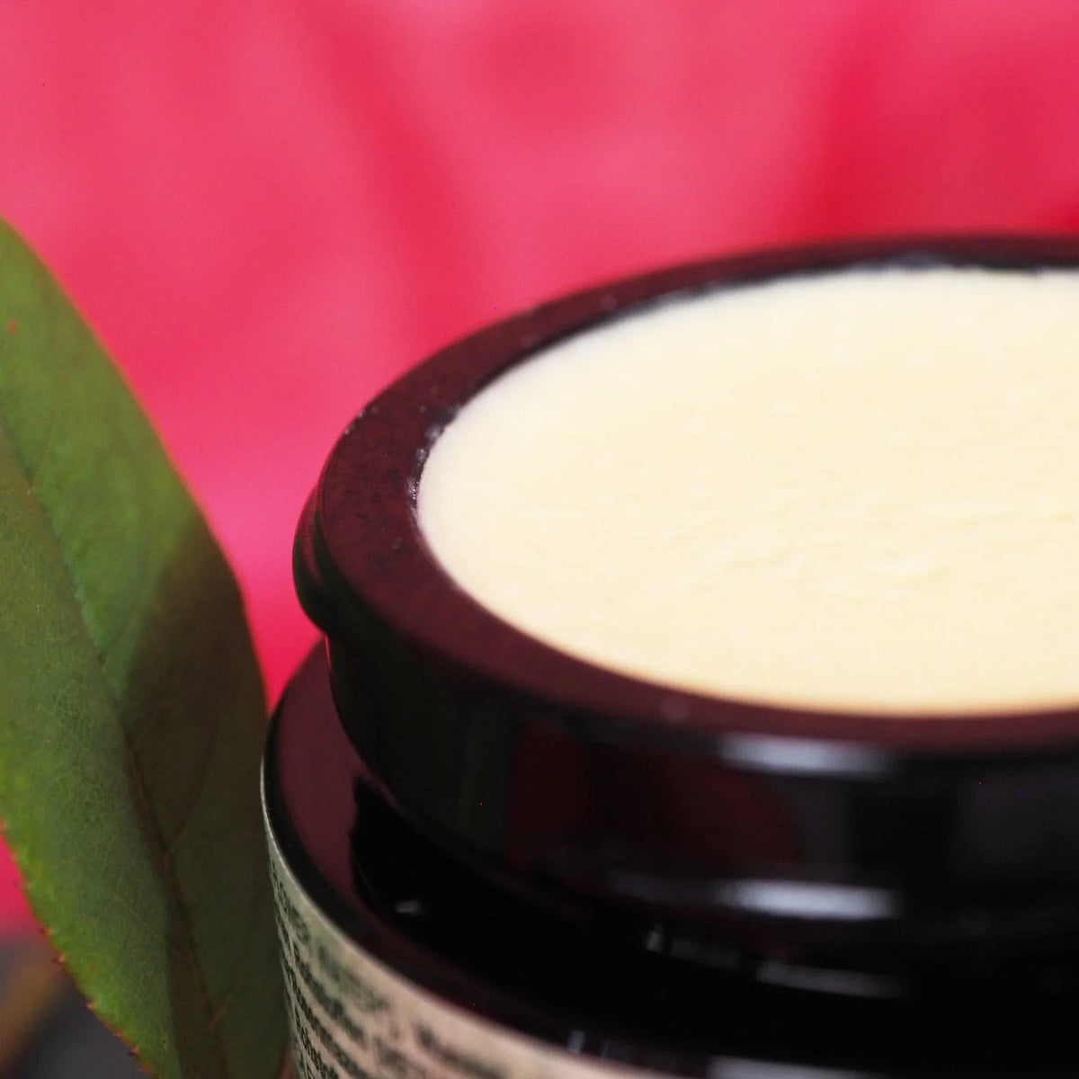 Rosa Alchemystica Creme