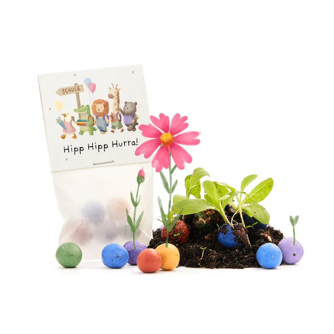 5 Blumenmurmeln im Tütchen zur Einschulung 