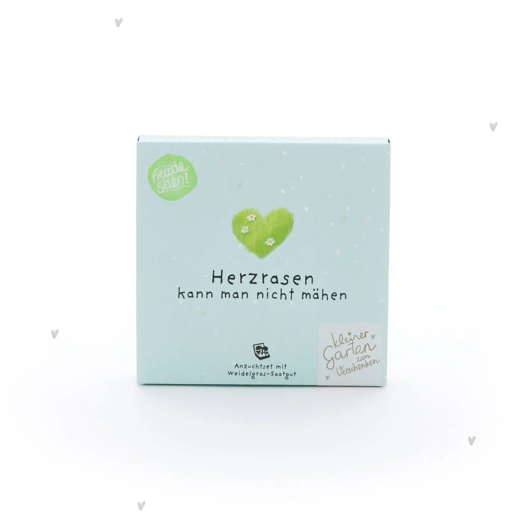 Pflanzkästchen - Herzrasen