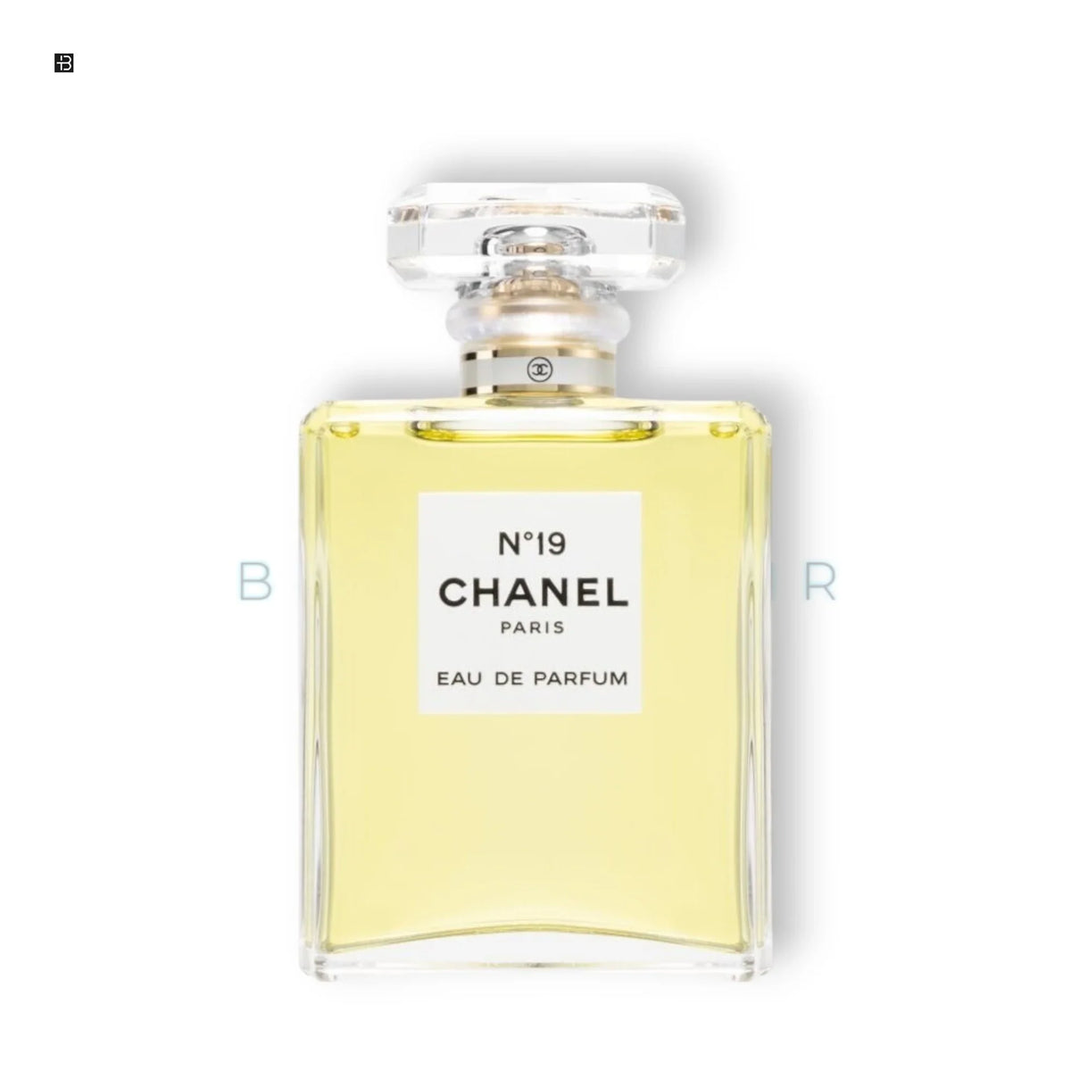 Chanel N°19 Eau de Parfum - BLACK ELIXIR - Maison de Parfum