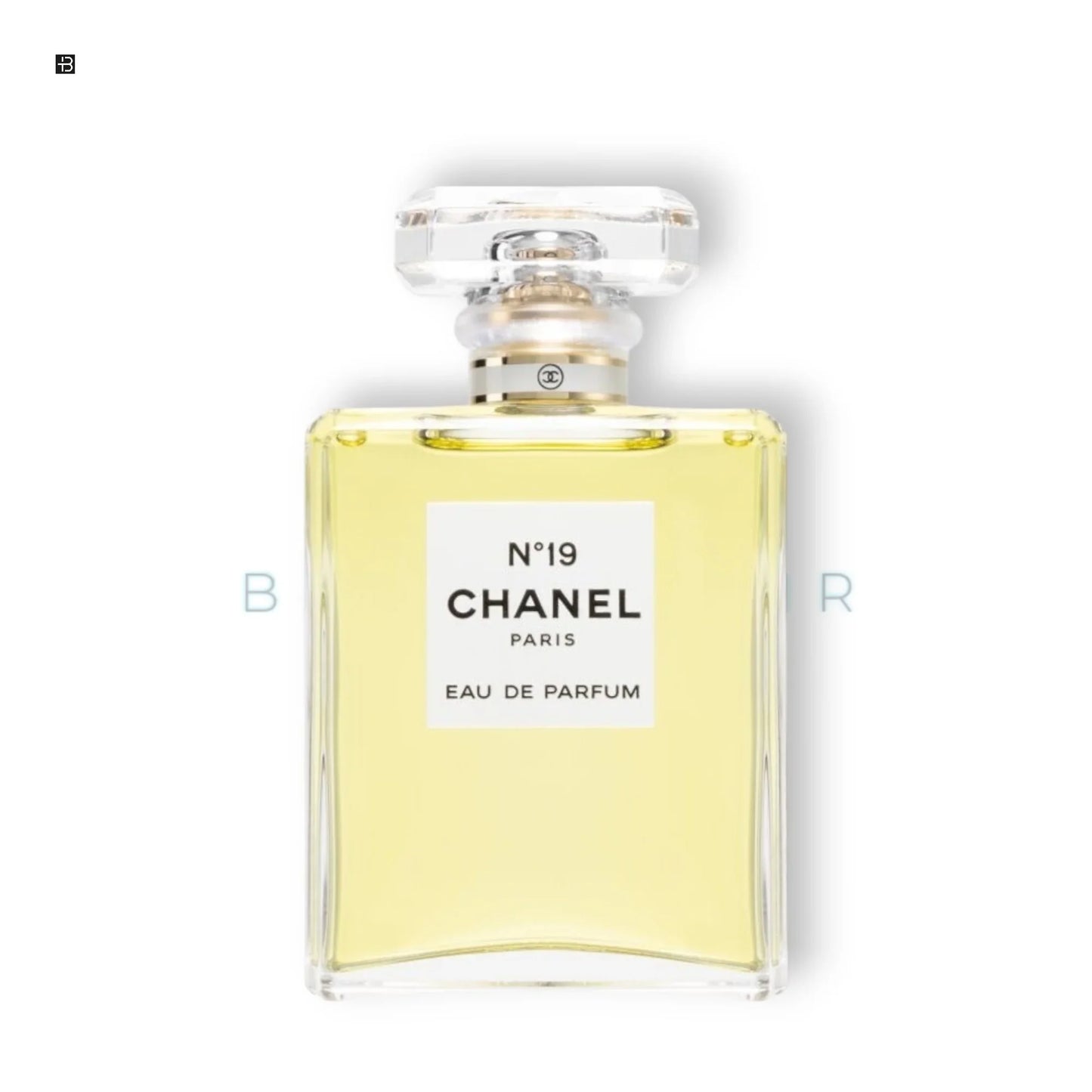 Chanel N°19 Eau de Parfum - BLACK ELIXIR - Maison de Parfum