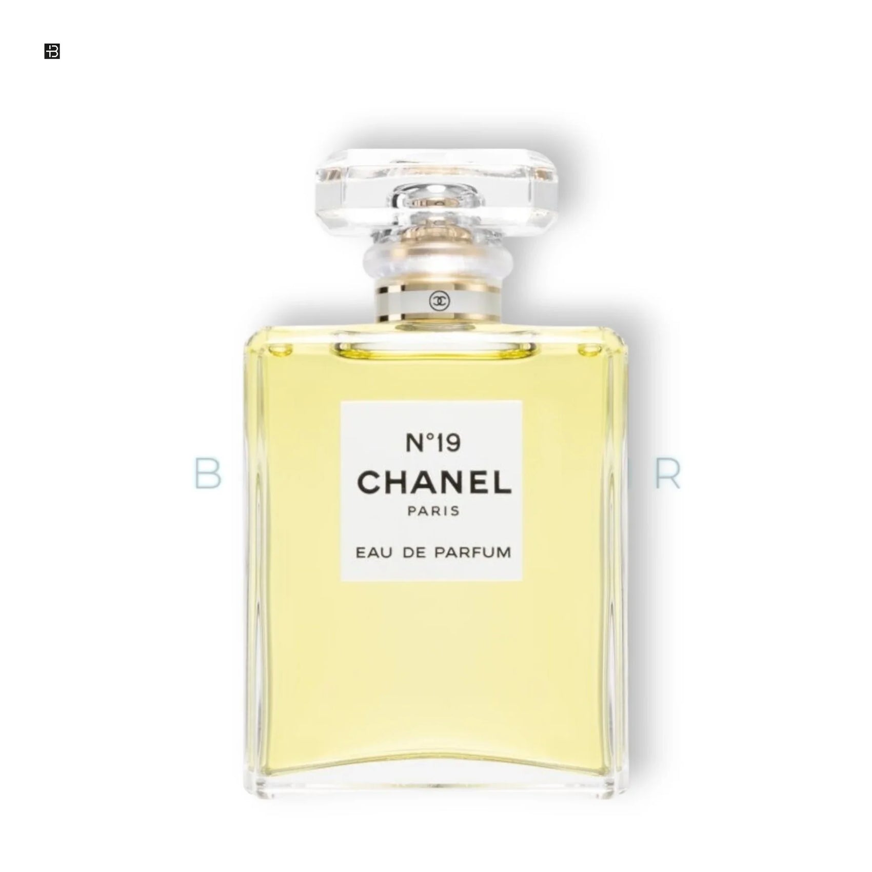 Chanel N°19 Eau de Parfum - BLACK ELIXIR - Maison de Parfum