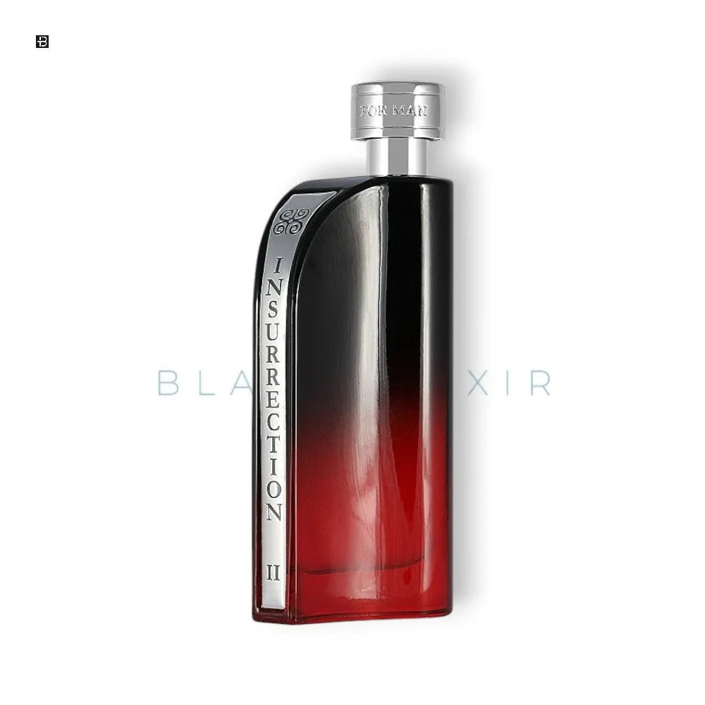 Reyane Tradition Insurrection Dark Eau de Toilette - BLACK ELIXIR - Maison de Parfum