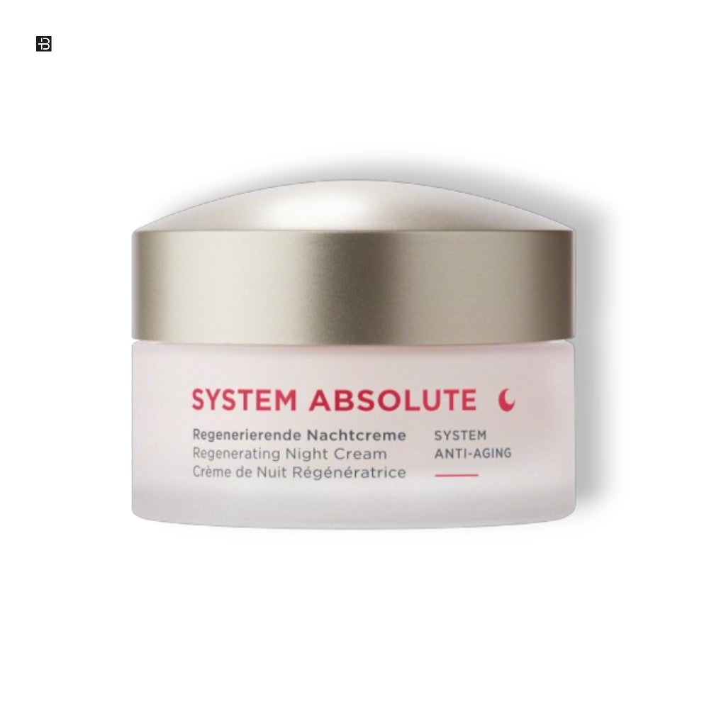 Annemarie Börlind System Absolute Light Regenerierende Nachtcreme