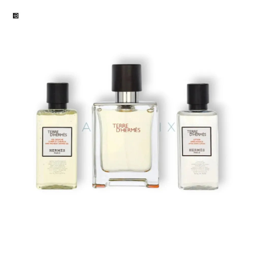 Hermes Terre D`Hermes Eau de Toilette Set 50 ml - BLACK ELIXIR - Maison de Parfum