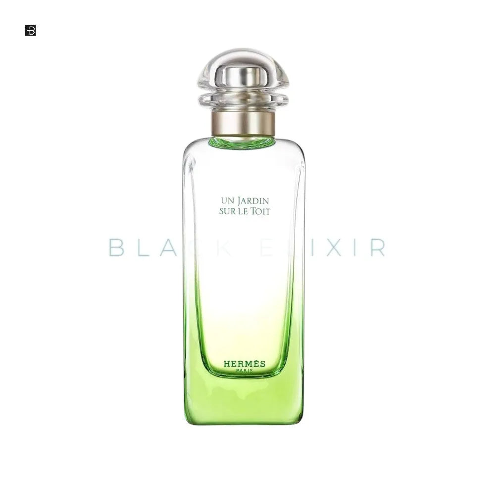 Hermes Un Jardin Sur Le Toit Eau de Toilette - BLACK ELIXIR - Maison de Parfum