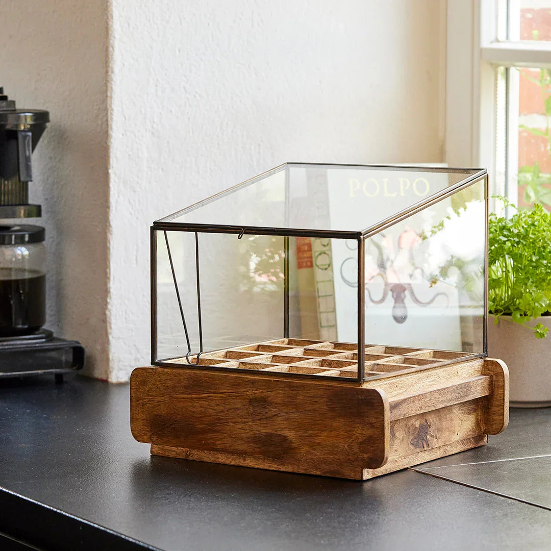 Hochwertiges Anzuchthaus mit 16 Fächern