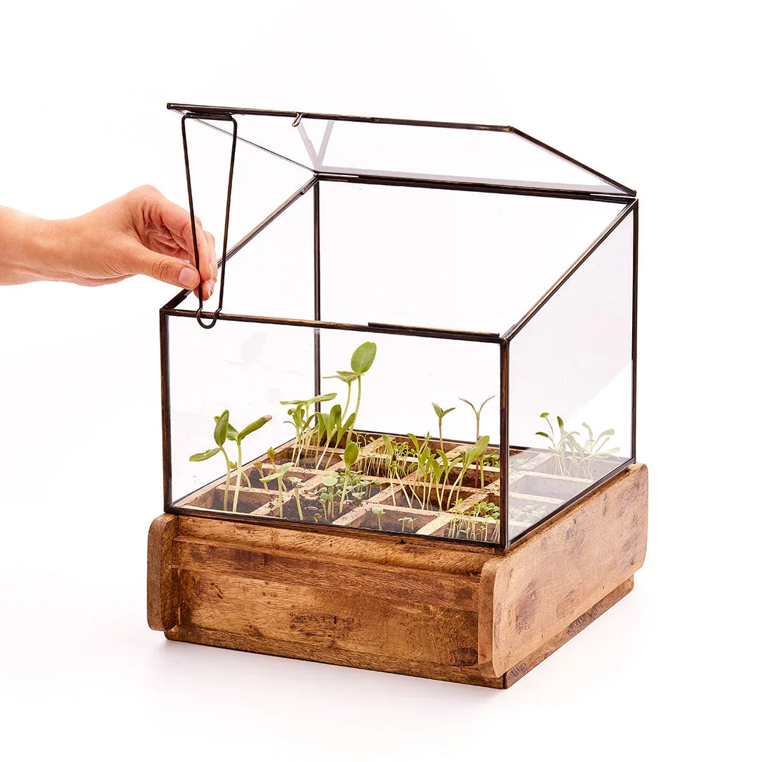 Hochwertiges Anzuchthaus mit 16 Fächern